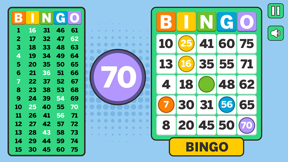 Bingo Solo